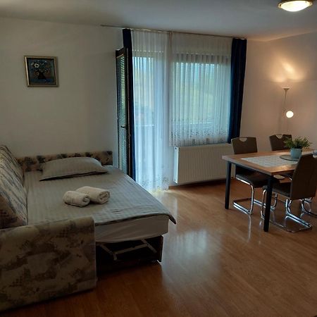 Apartmaji Vesna Bohinj Extérieur photo