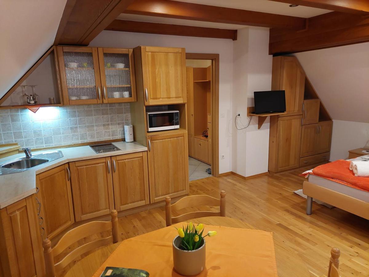 Apartmaji Vesna Bohinj Extérieur photo