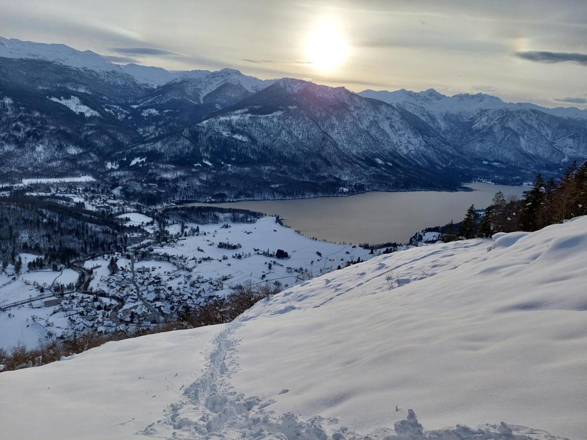 Apartmaji Vesna Bohinj Extérieur photo