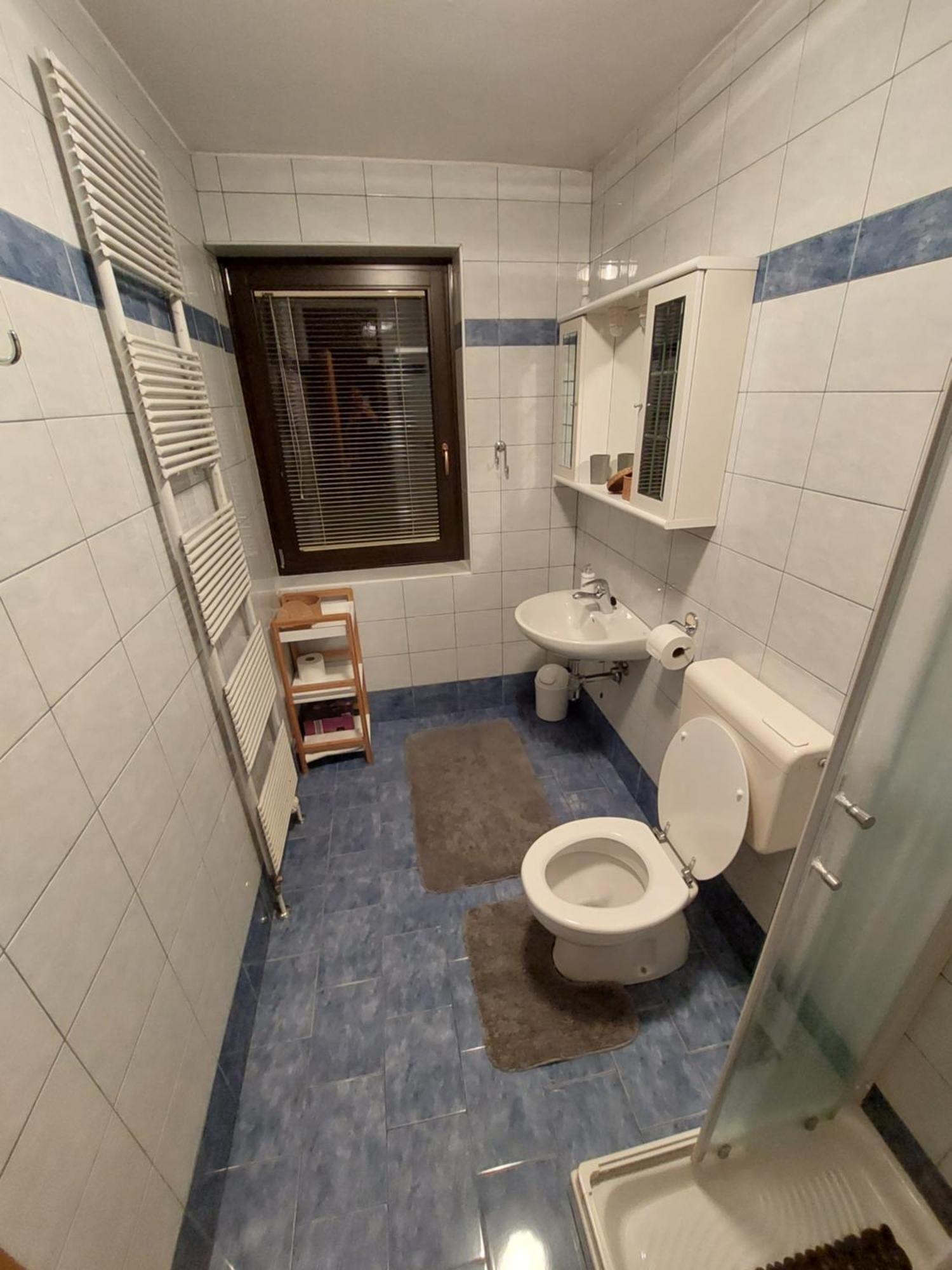 Apartmaji Vesna Bohinj Chambre photo