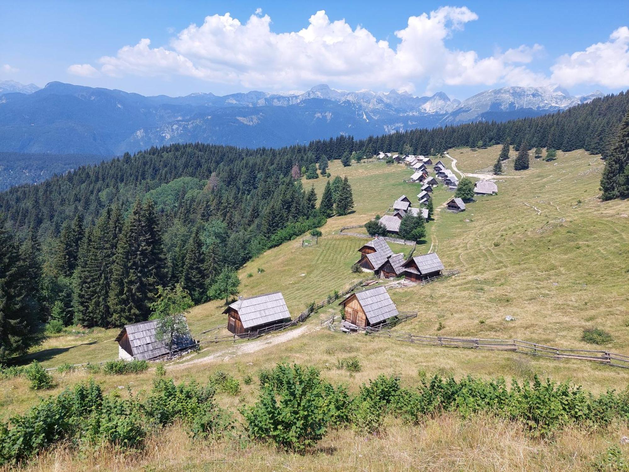 Apartmaji Vesna Bohinj Extérieur photo